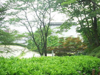 小丸山公園愛宕山相撲場からみた光徳寺の屋根