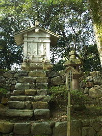 妙成寺にある寿福院の墓