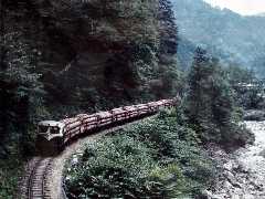 満載で山を下る運材列車
