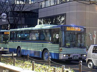 定禅寺通り中央緑道から撮影