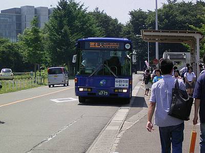 理学部自然史標本館前にて