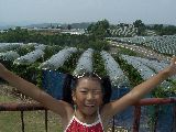 ぶどうの丘展望台からの一面に広がるぶどう園の景色は壮観！