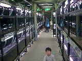 淡水魚飼育研究棟