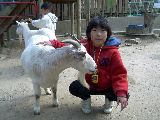 わんぱくフィールド