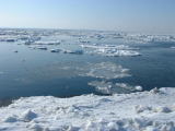 斜里海岸の流氷