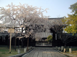 妙覚寺　大門