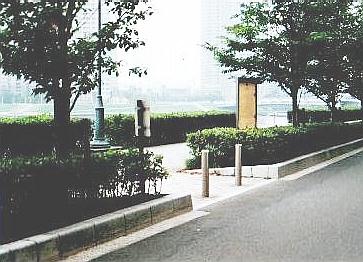 新川公園脇の歩道