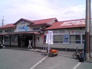 wadayama3