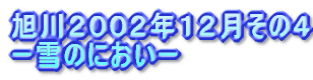 旭川２００２年１２月その４ ー雪のにおいー　