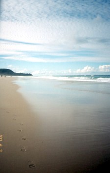 Noosa Sunshine Beach