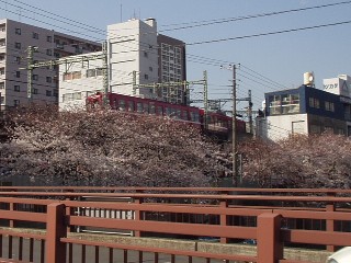 場所は京浜急行日出町‐黄金町間、3月31日撮影