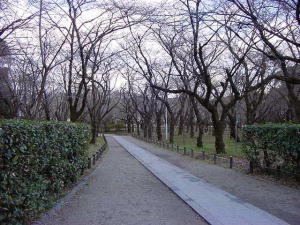 桜園