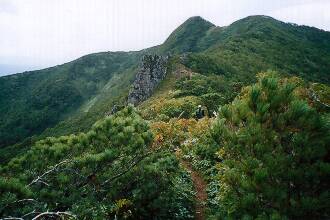 藻琴山山頂への道