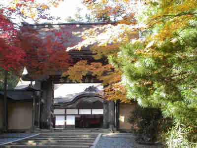 秋の金剛峰寺