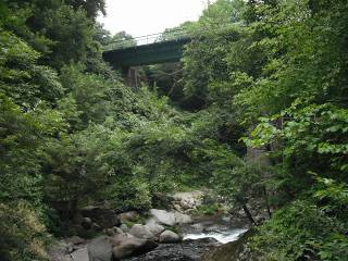 吐竜の滝から見た小海線の鉄橋