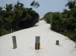 砂山ビーチに向かう白砂の坂道
