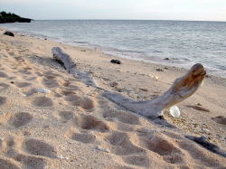 朝日を浴びた「ウーグの浜」