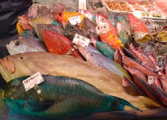 沖縄魚