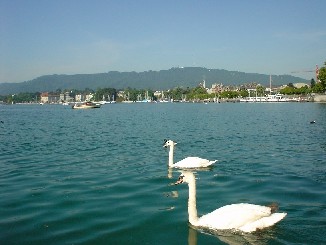 チューリッヒ湖