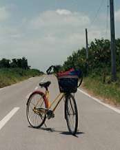 黒島の道と自転車