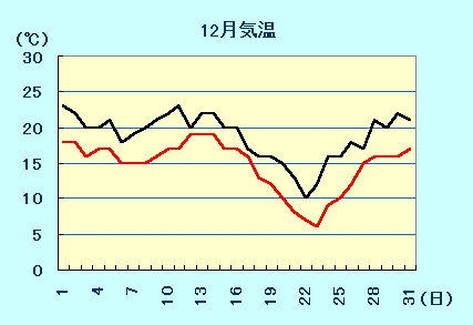 12月気温