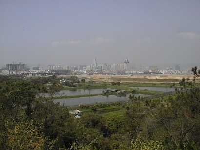 落馬洲からの風景