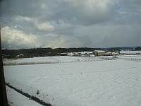 雪に覆われた水田