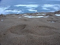 砂丘の砂