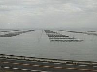 有明海の海苔養殖場