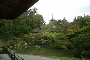 仁和寺の北庭