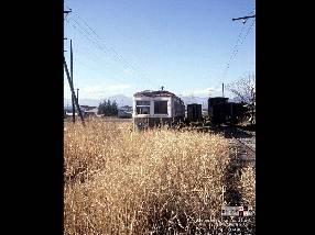 上田原の田んぼ沿いのところ 草に埋もれた丸子線の電車など
