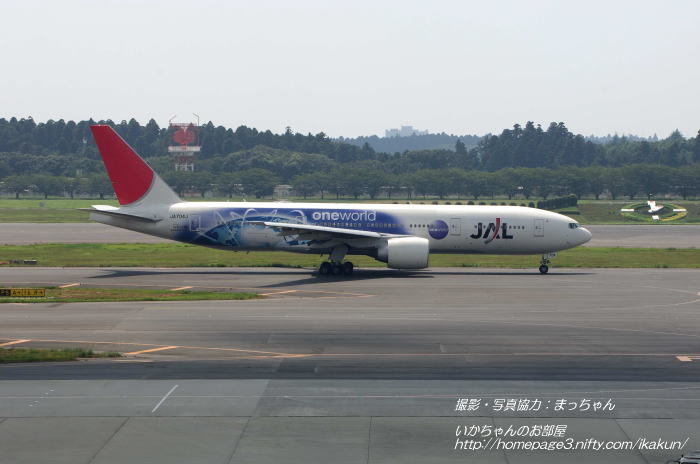 JAL B777-246ER(JA704J)