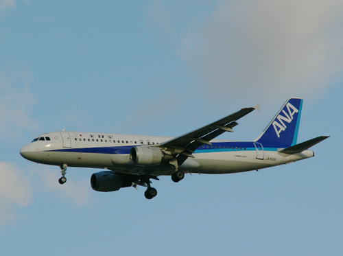 全日本空輸　A320-211（JA8313）