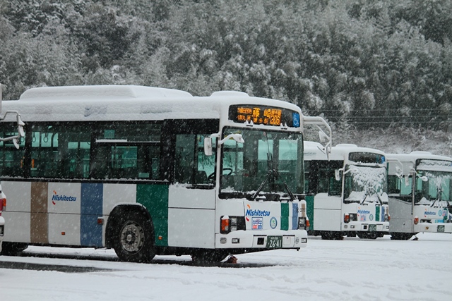西鉄バス306番,雪,金武営業所,エルガ