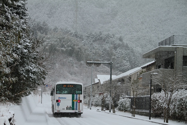 福岡,雪景色.JPG