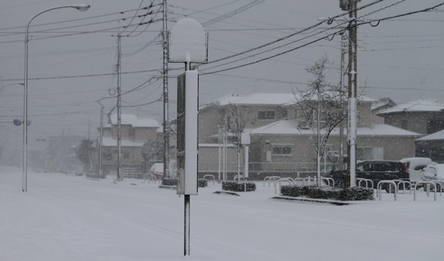 福岡市,大雪.JPG