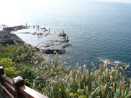 江の島の海