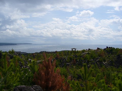 有村溶岩展望所から見た海