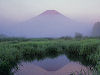 忍野から見る富士山は日本一