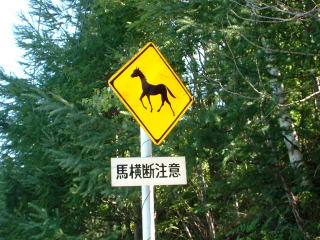 動物注意　馬