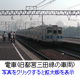 電車(旧都営三田線の車両)