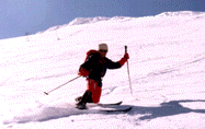 Telemark Ski