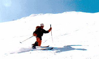 Telemark Ski