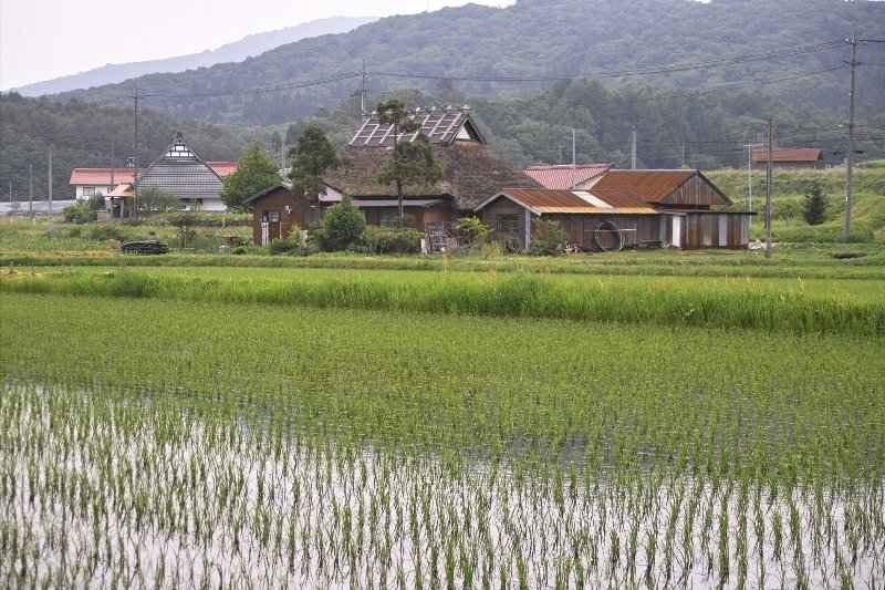 八幡高原の茅葺