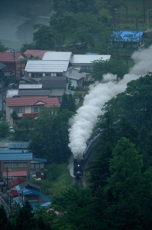 D2X+VR300mm+TC14EⅡ