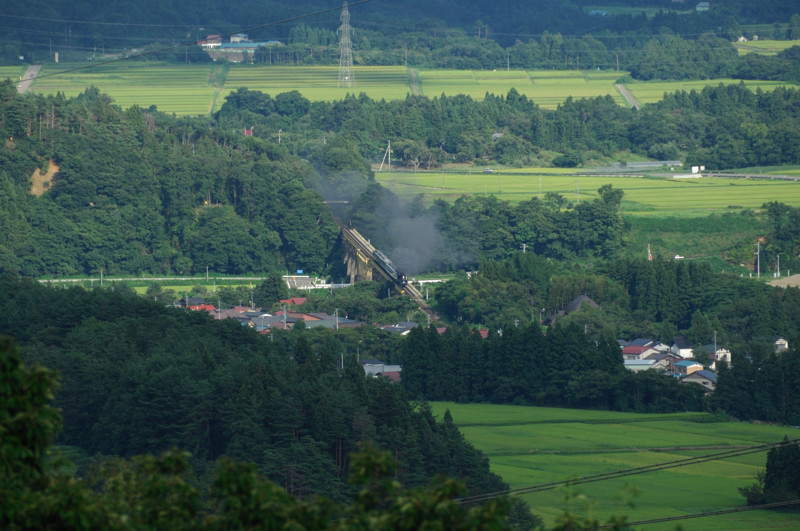 D2X+DX18-200mm(クロップ）