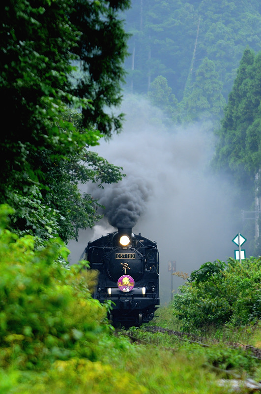 D300+VR70-200mm+TC17EⅡ