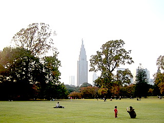 新宿御苑、イギリス風景式庭園の芝生から見えるドコモビルの摩天楼はニューヨークのよう。