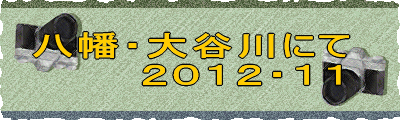 八幡・大谷川にて ２０１２・１１ 