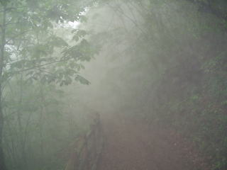 「大滝の路」は霧の中